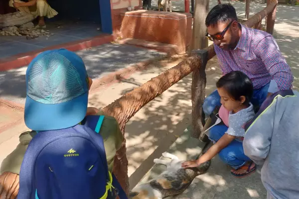 Father and daughter touching a cat in Model Village, Bengaluru during a field trip organized for children by Olivia Montessori