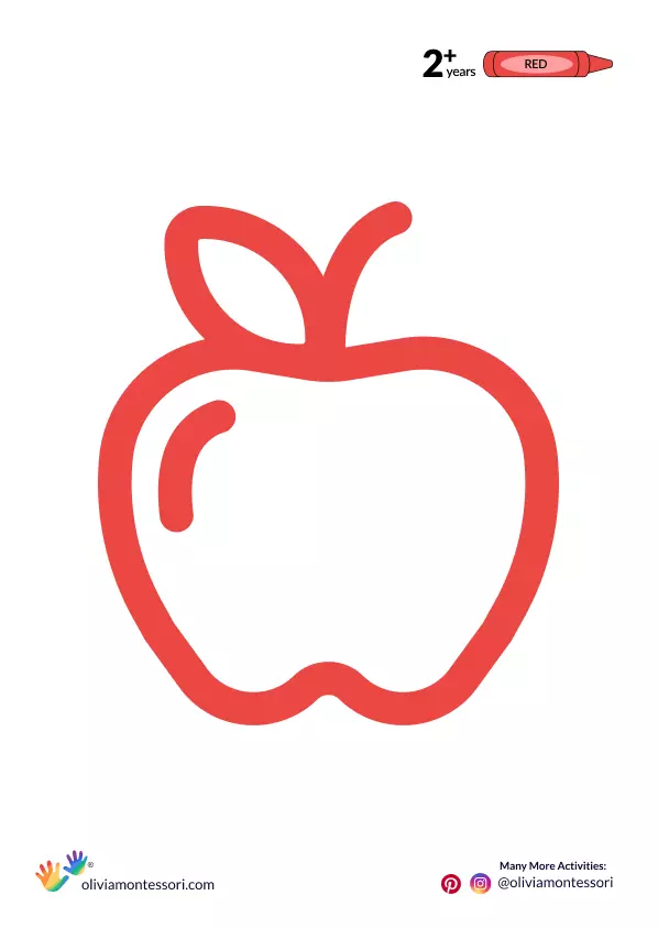 Apple Coloring Sheet for 2 years plus kids