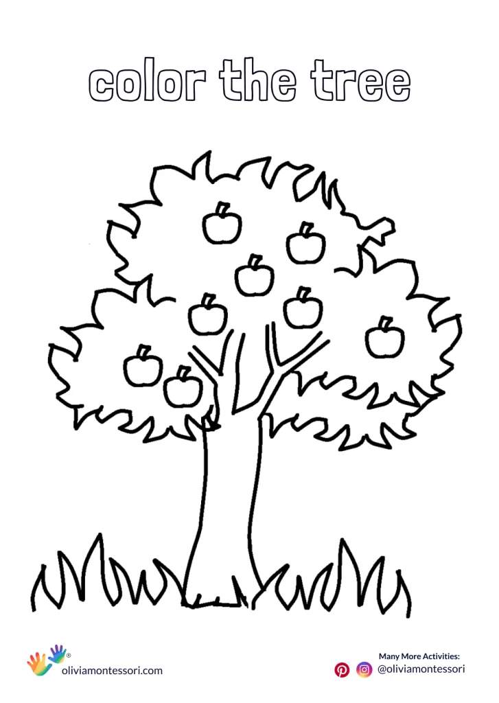 Apple Tree Coloring Sheet for 3 years plus kids