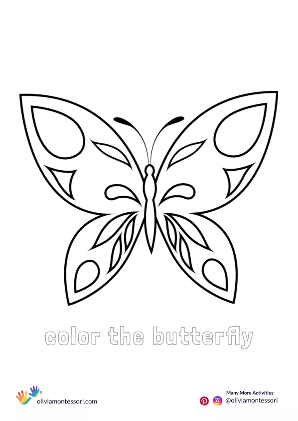 Butterfly Coloring Sheet for 4 years plus kids