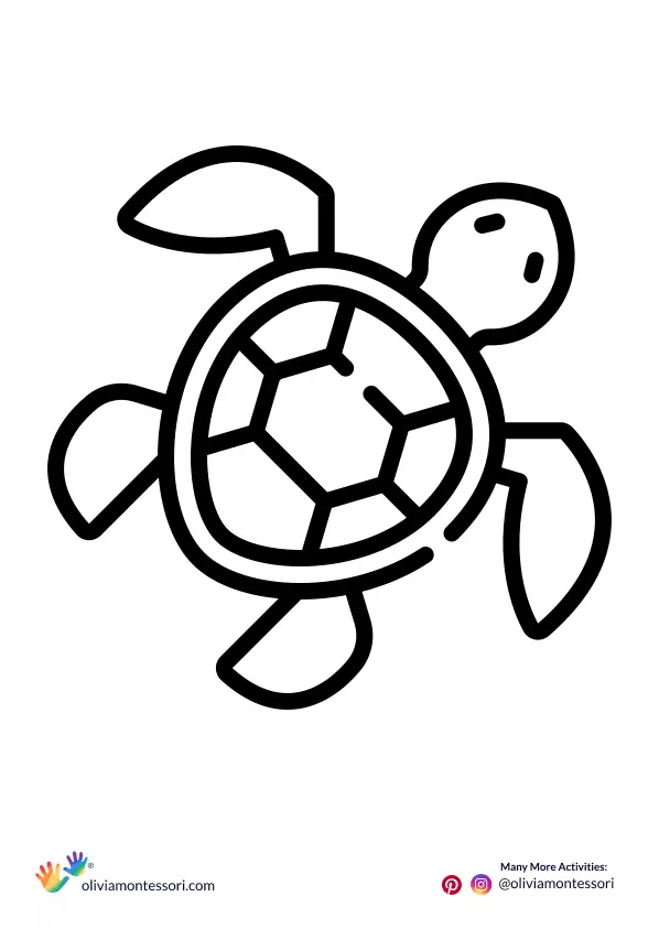 Turtle Tortoise Coloring Sheet for 3 years plus kids